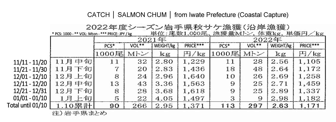 Captura de chum salmon de Iwate FIS seafood_media.jpg